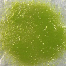 F626P - Pea Green Opal Powder (1)